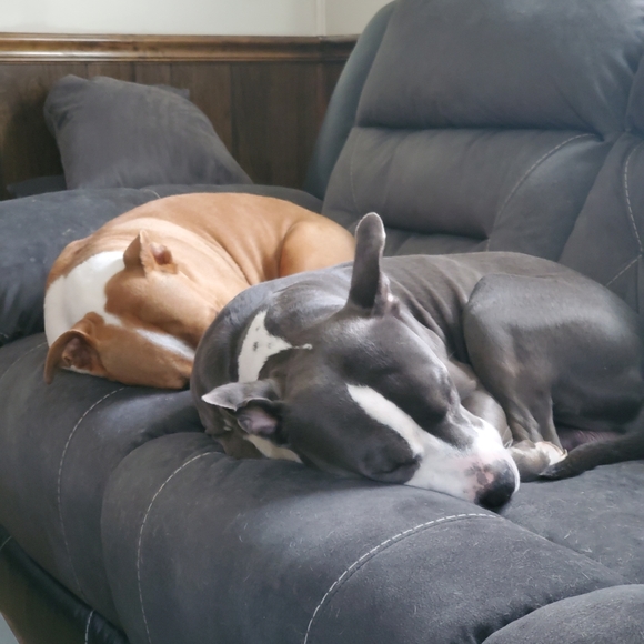 Meet your Posher, Courtney - Picture 2 of 3